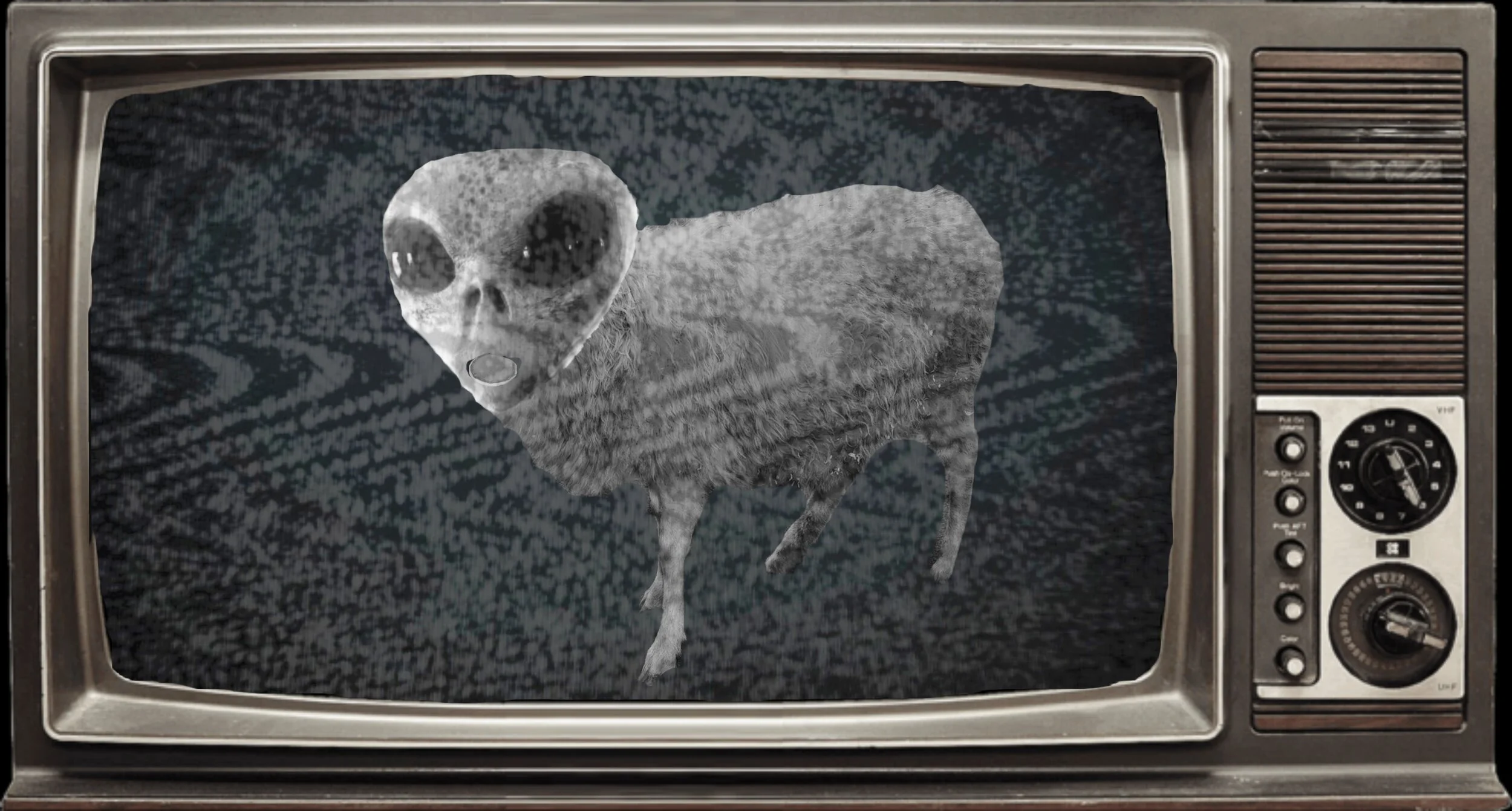 5th Grade Digital Art