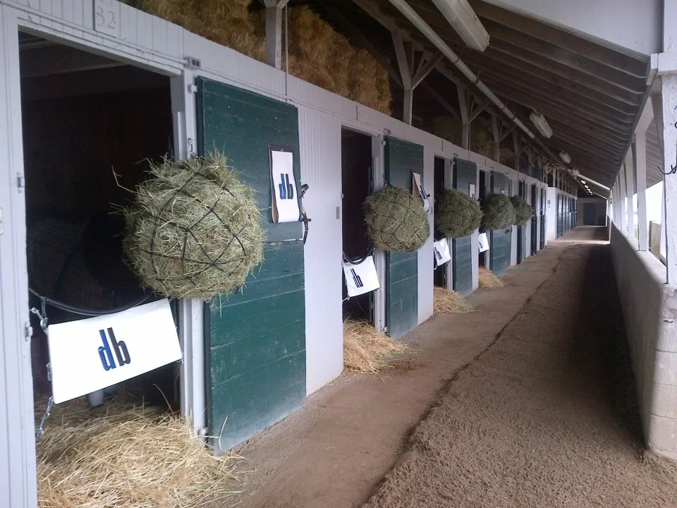 shedrow.jpg