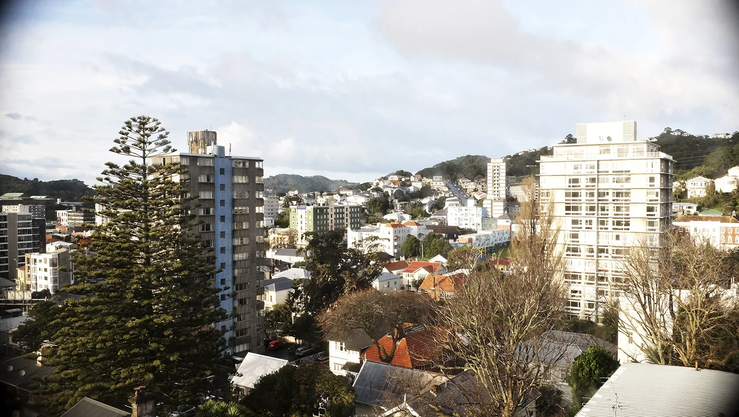 Wellington, New Zealand / July 12 2019.