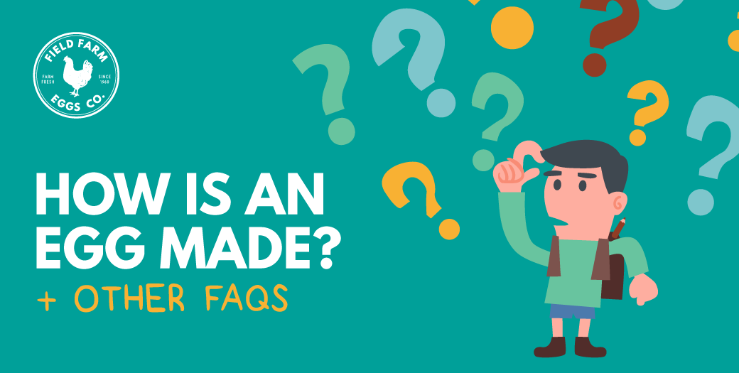 FAQS-HEADER.png