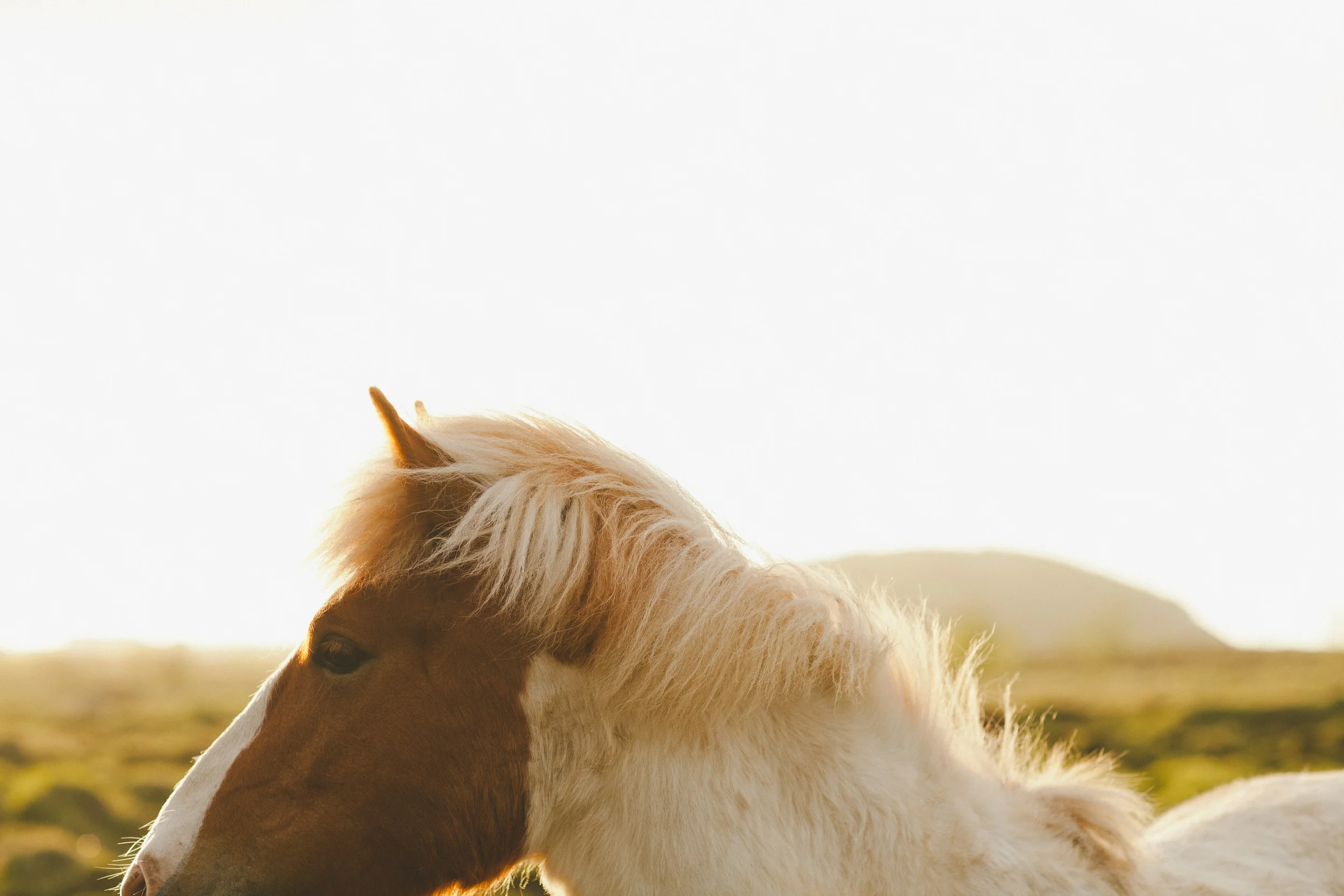 2014 // What a Year.