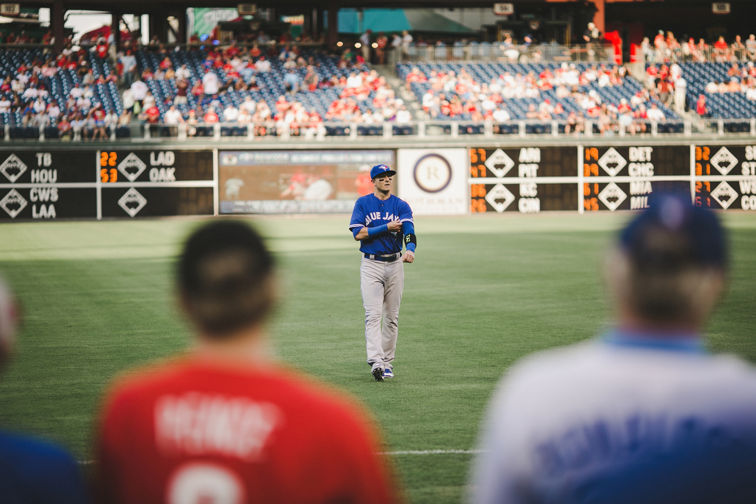 078-bluejays.jpg