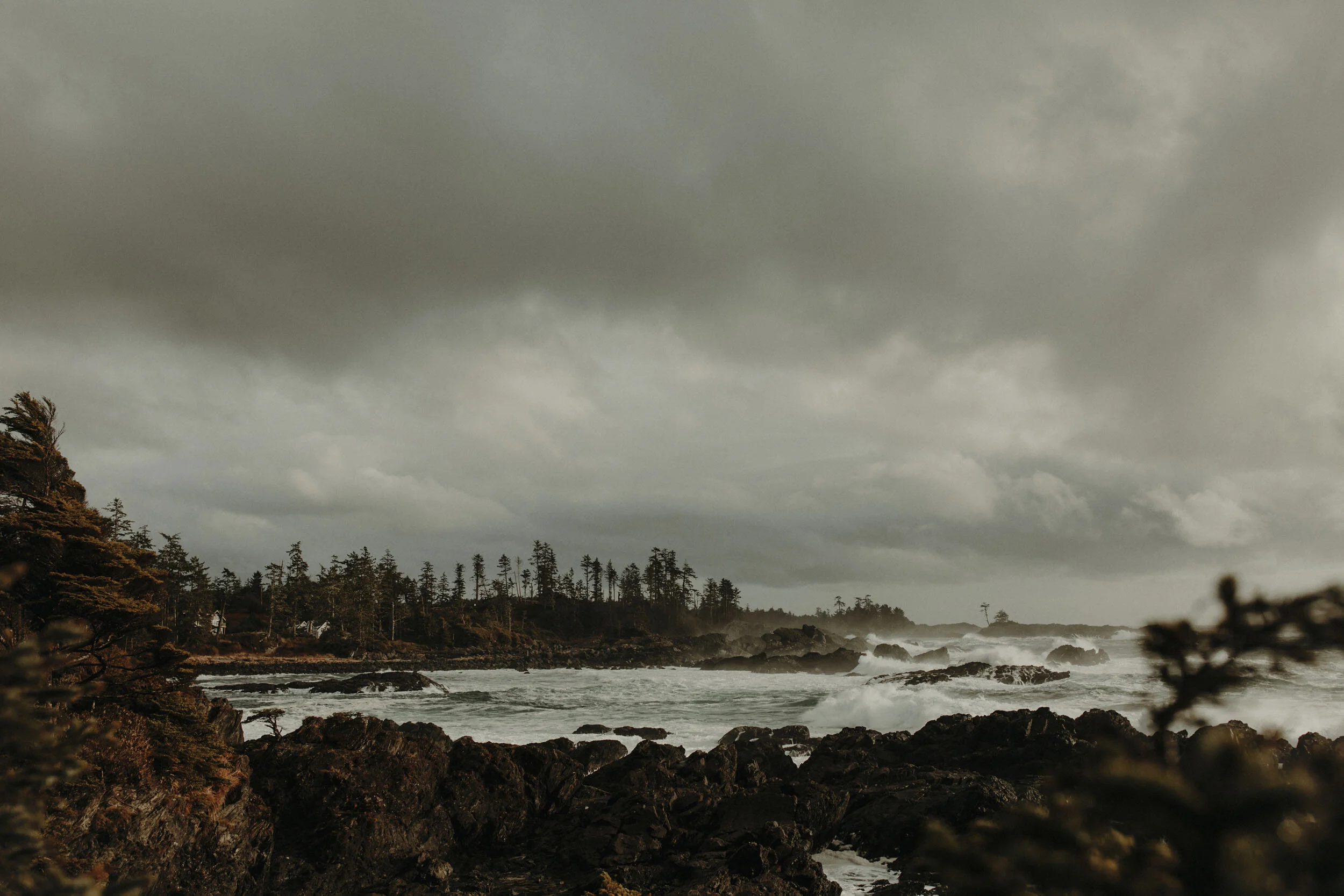 Tofino-2017-1.jpg