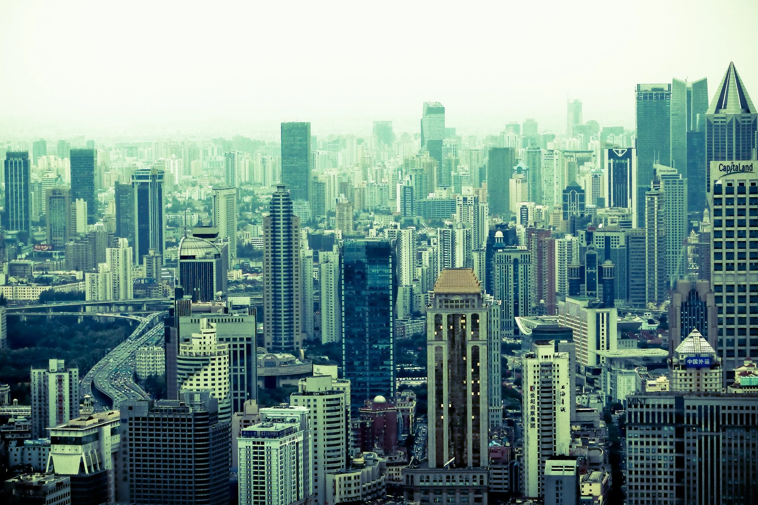 Urban Jungle