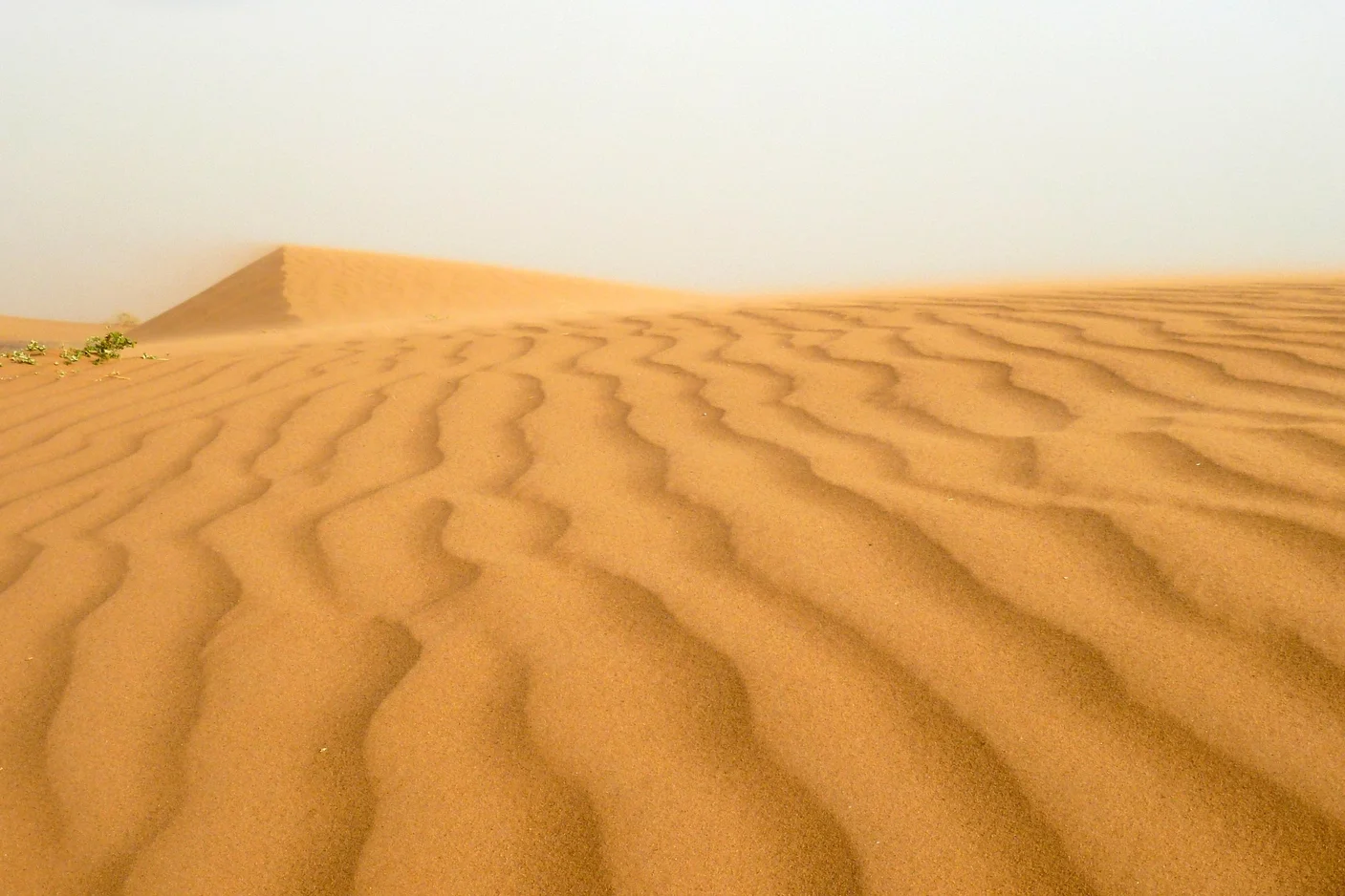In the desert