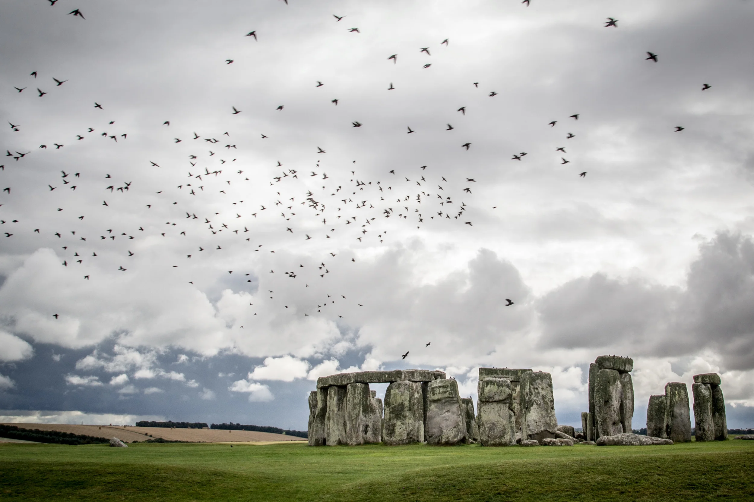 Birds at Stonehenge