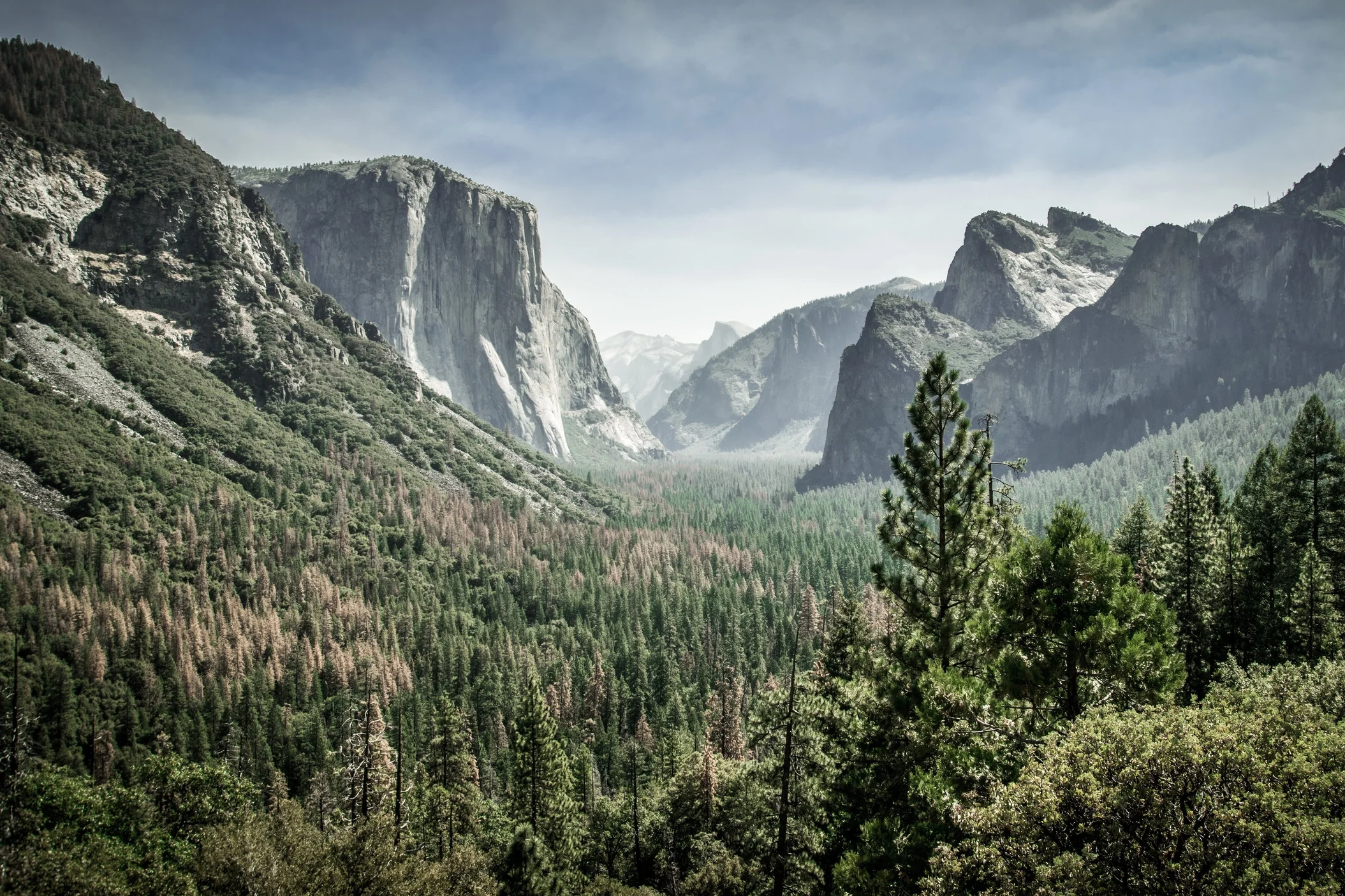 View on Yosemite