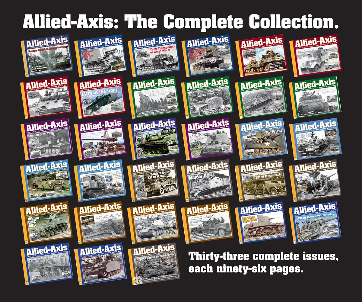 AA Collage.jpg