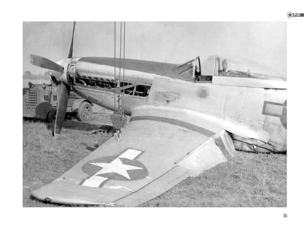 p51_2.png