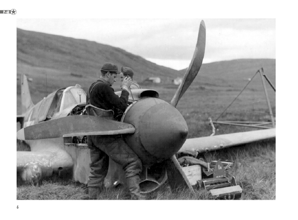 p40.png