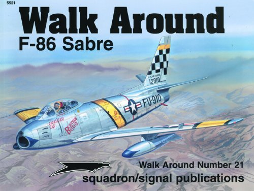 F-86 Sabre - Walk Around No. 21 (SS5521)