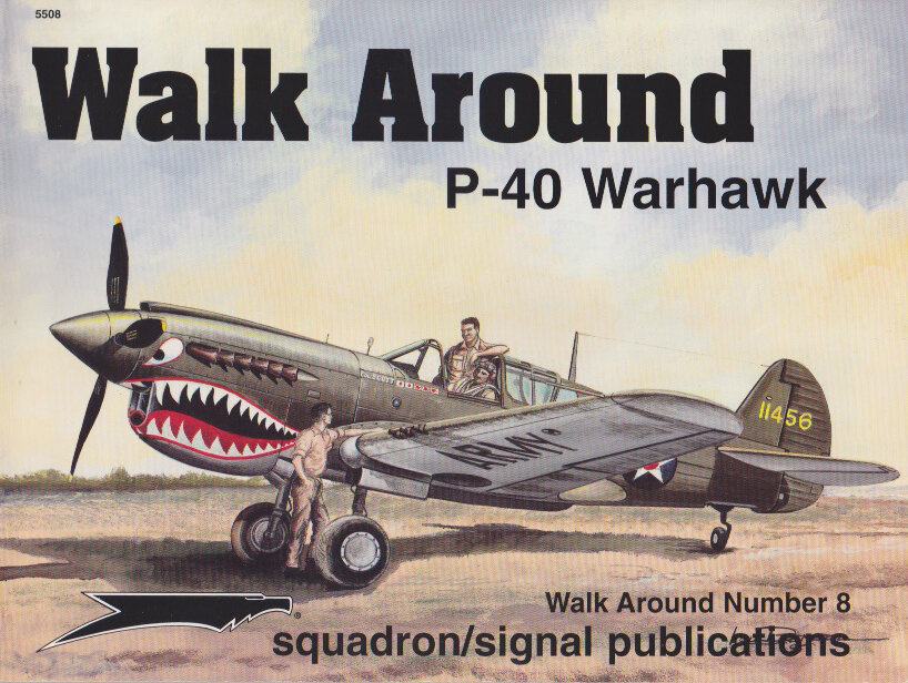P-40 Warhawk - Walk Around No. 8 (SS5508)