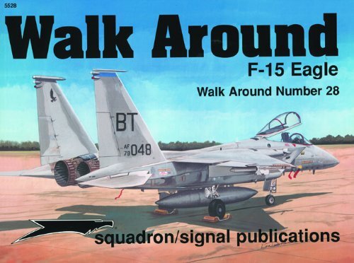 F-15 Eagle - Walk Around No. 28 (SS5528) - shopworn