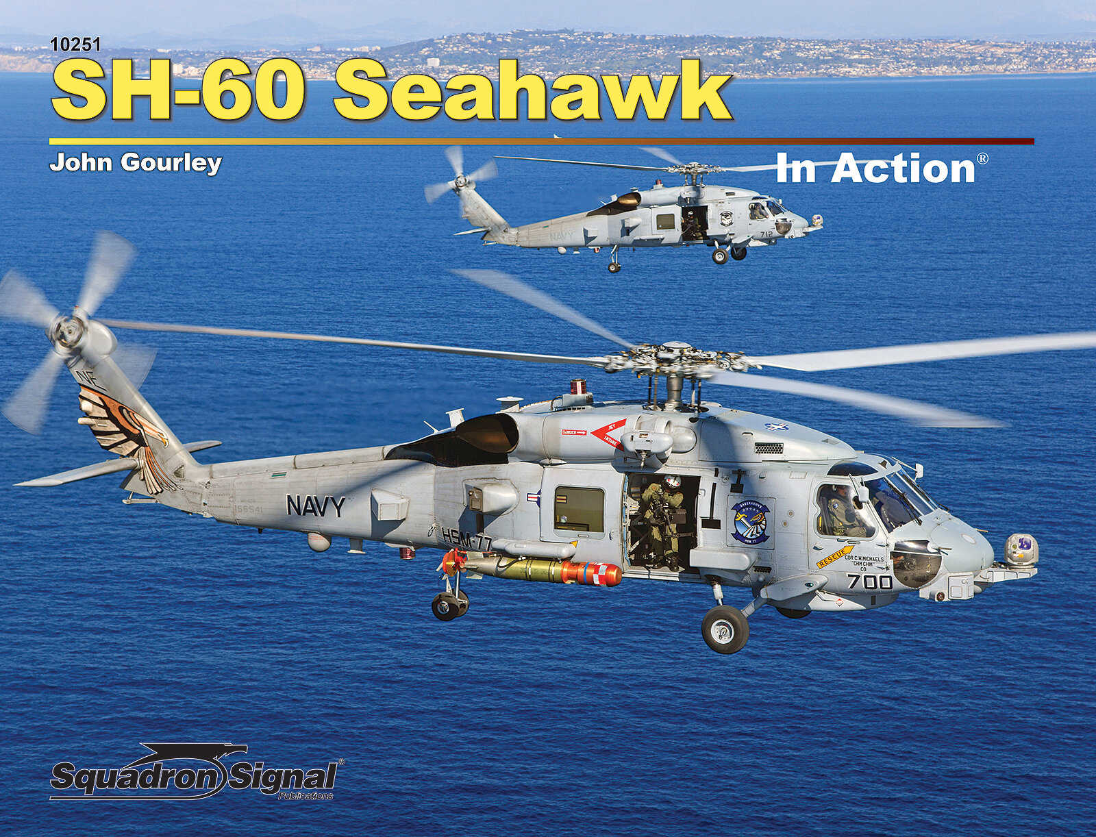 SH-60 Seahawk In Action (SS10251)