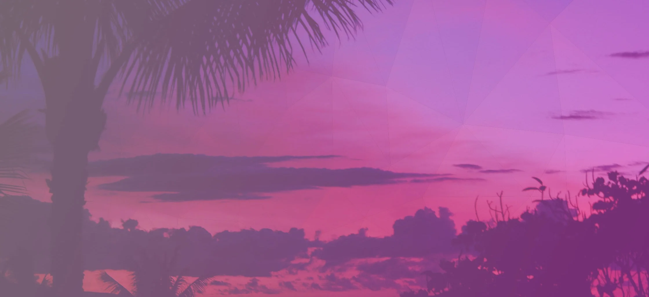banner3.jpg