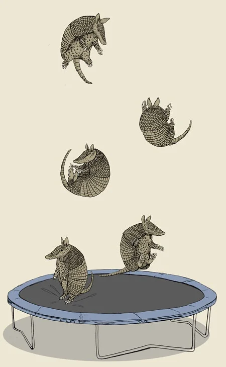 https://www.etsy.com/listing/169809037/trampoline