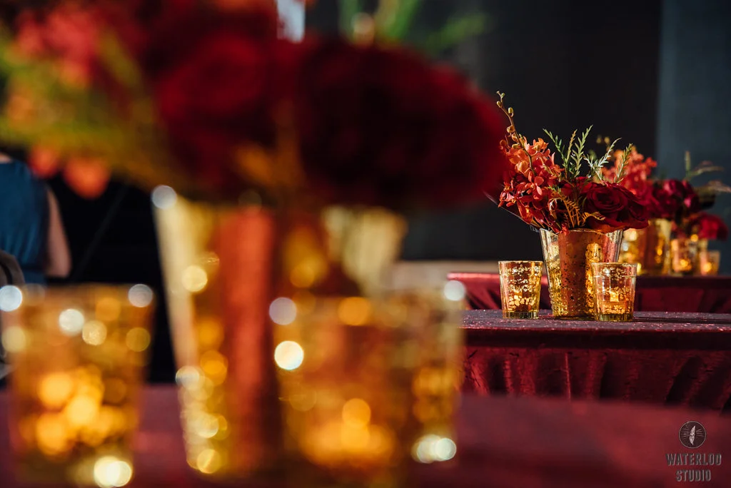 lisahause+wildskyevents_014.JPG