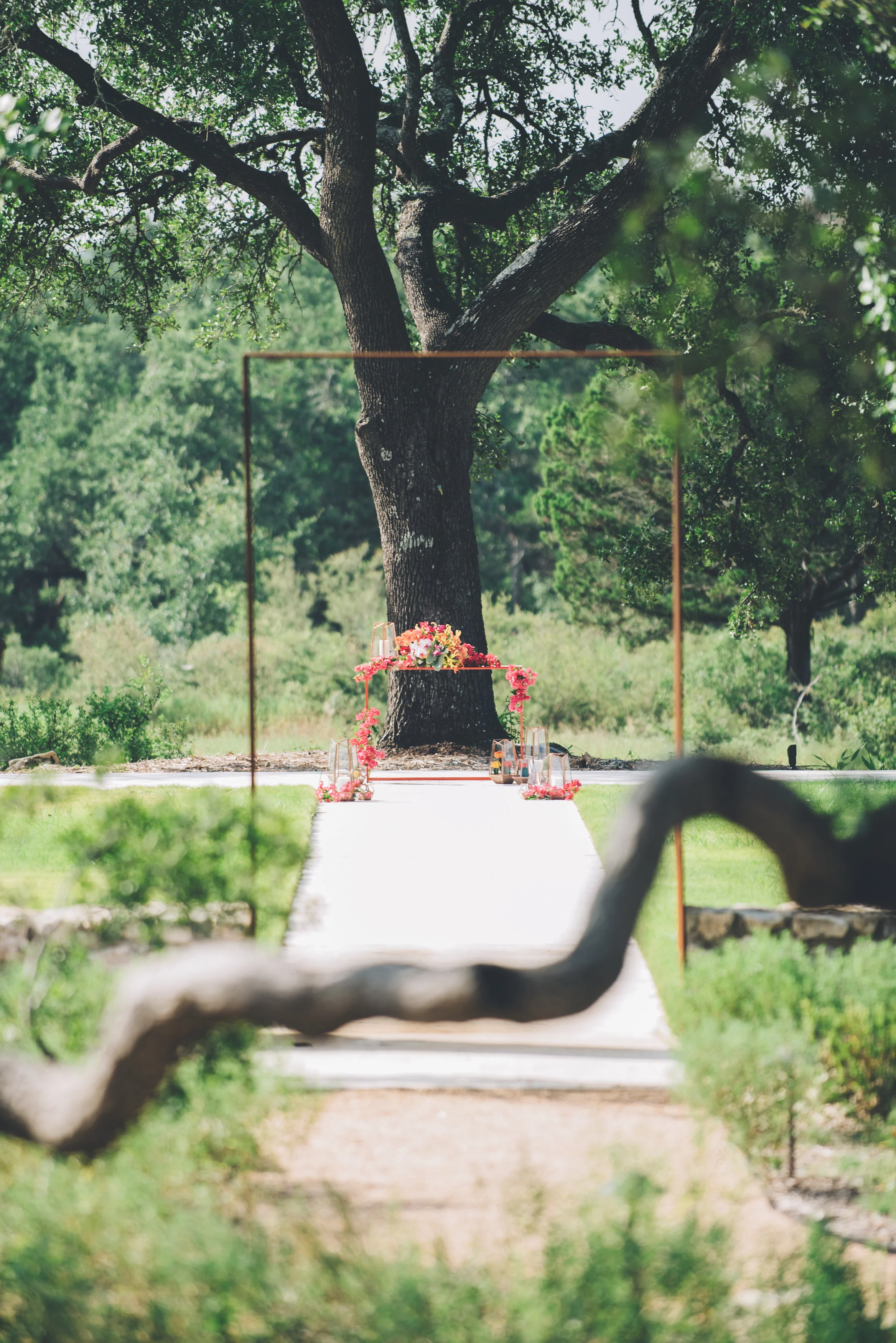 wildskyevents_lisahause_austin_texas_015.JPG