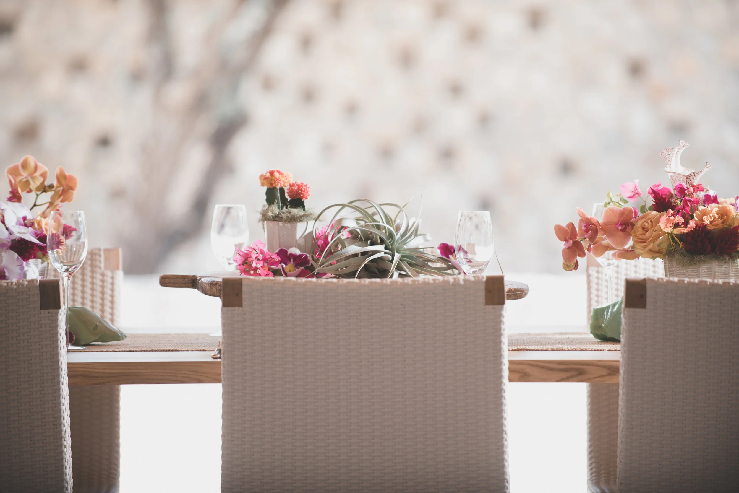 wildskyevents_lisahause_austin_texas_018.JPG