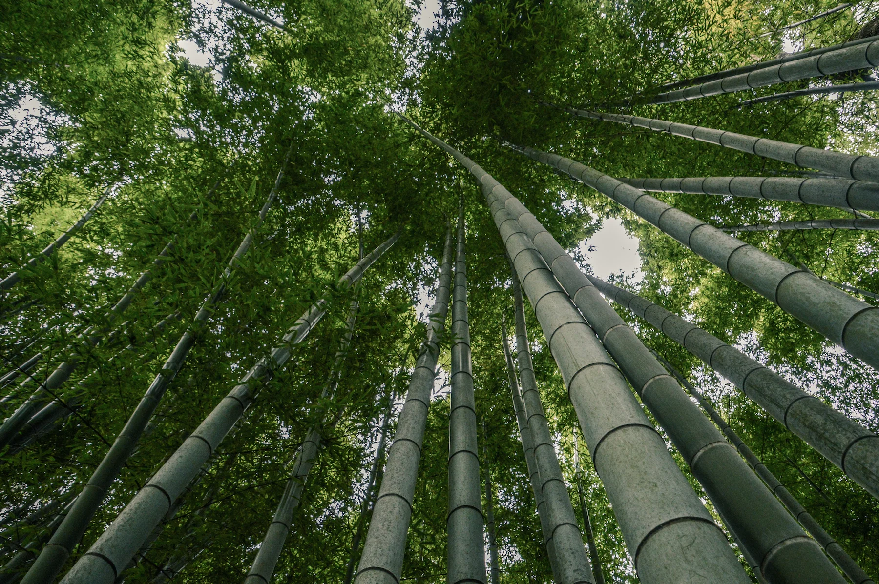 Design Inspiration ... Japan