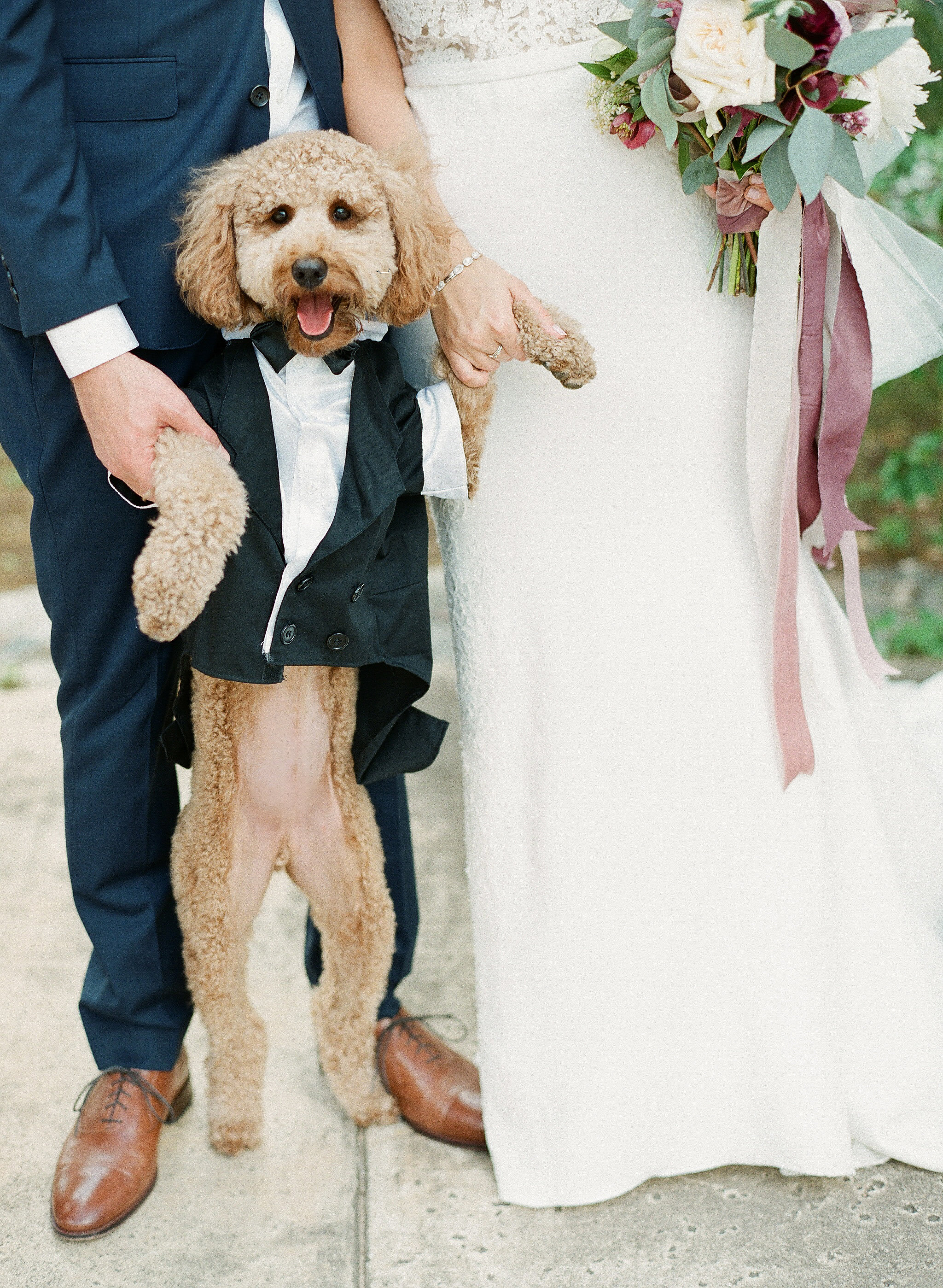 HillCountryWeddingpuppy