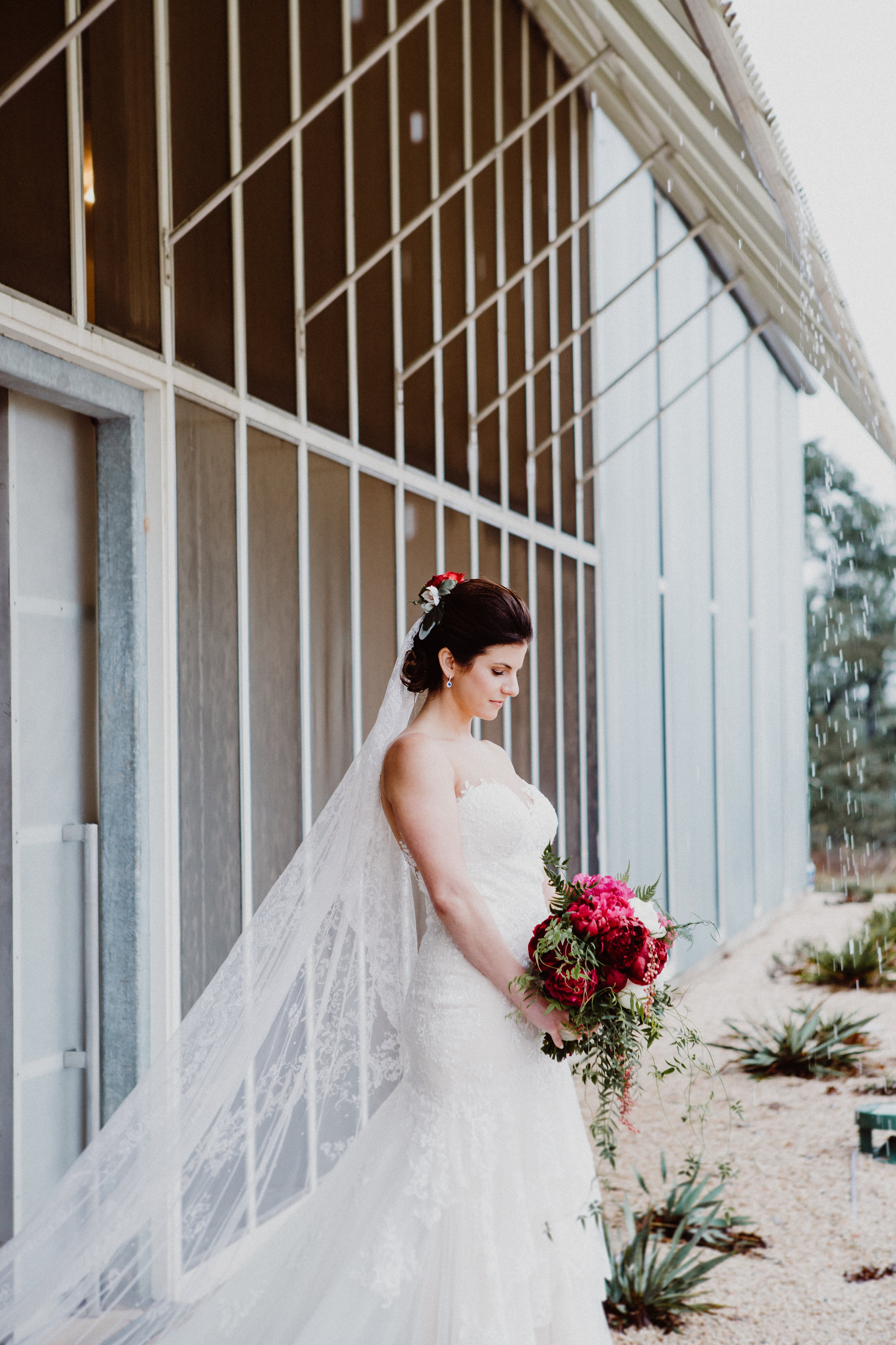 prospect-house-wedding-LN-250.jpg