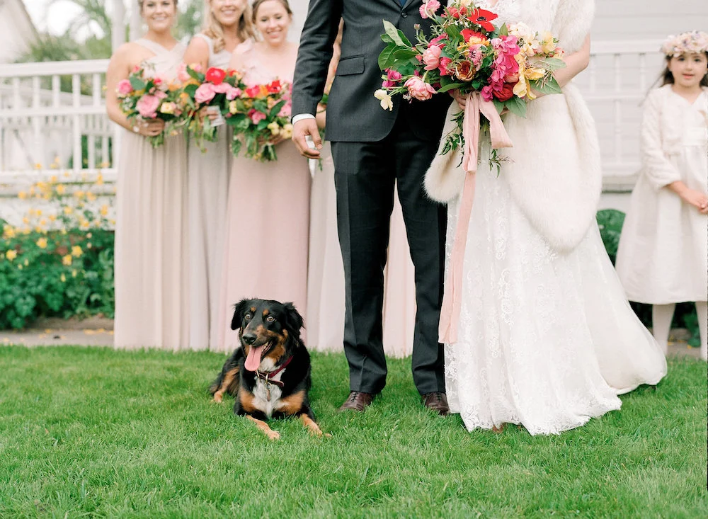 sophieeptonphotographygabrielaalejandroWED-454.jpg