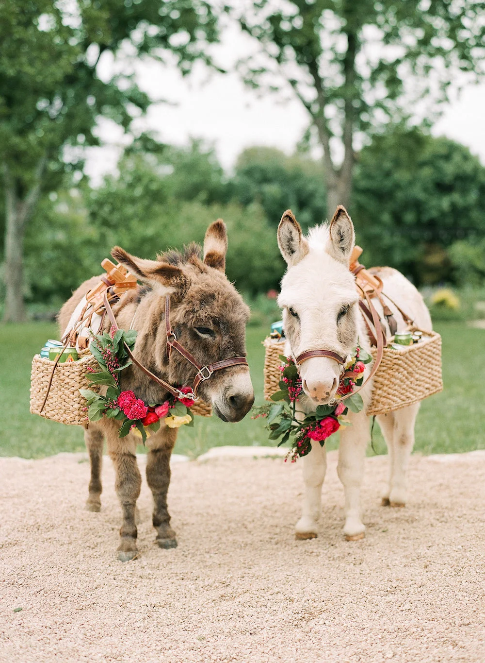 Yes, you can have miniature donkey bartenders at weddings in Texas. Vote for best dressed, I think so! 