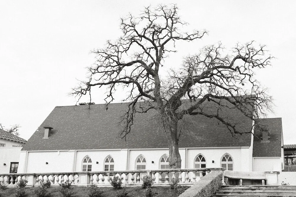 Commodore Perry Estate Wedding