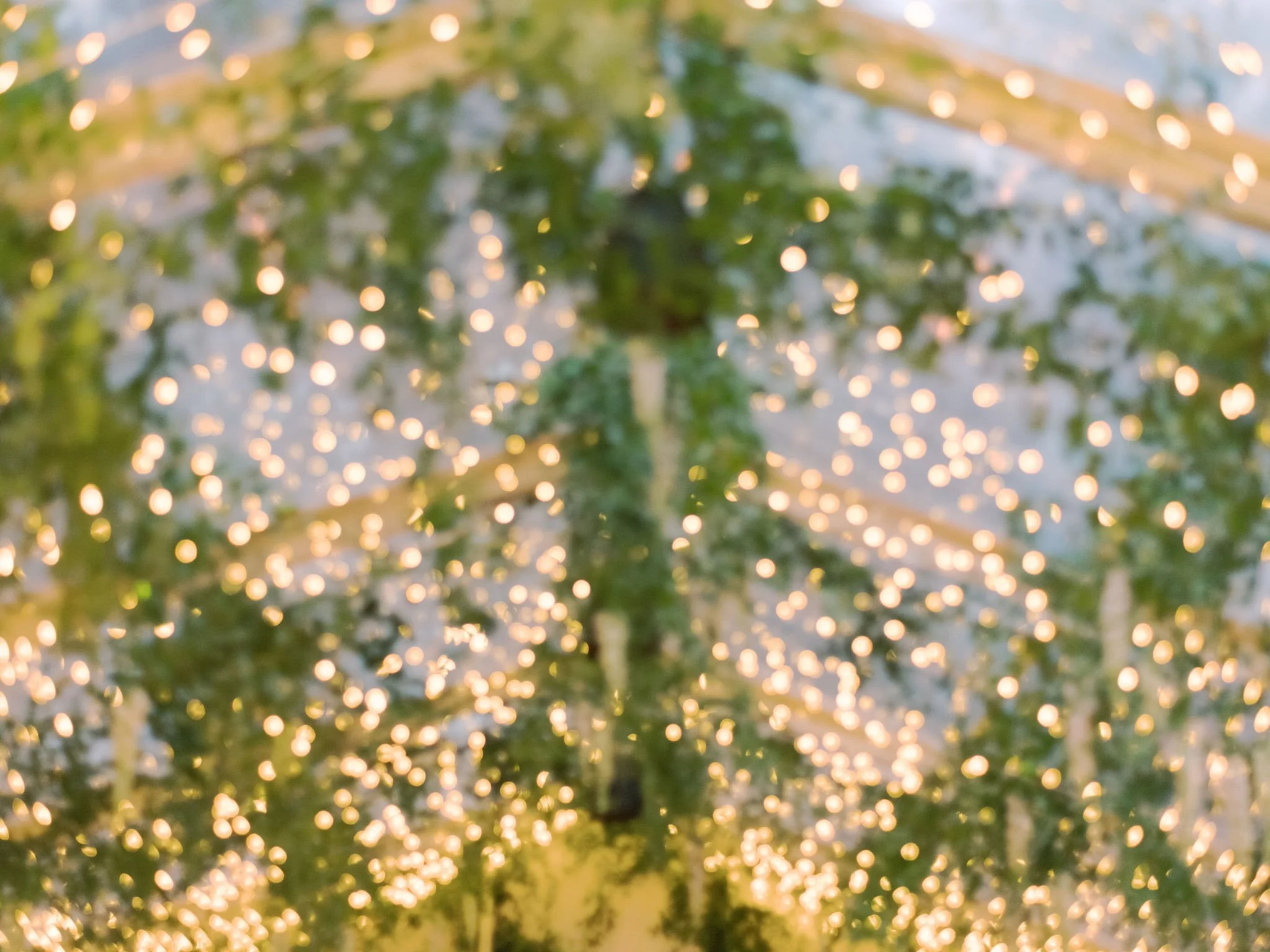 AliandBrady_Matties_Austin_Winter_Wedding69.jpg