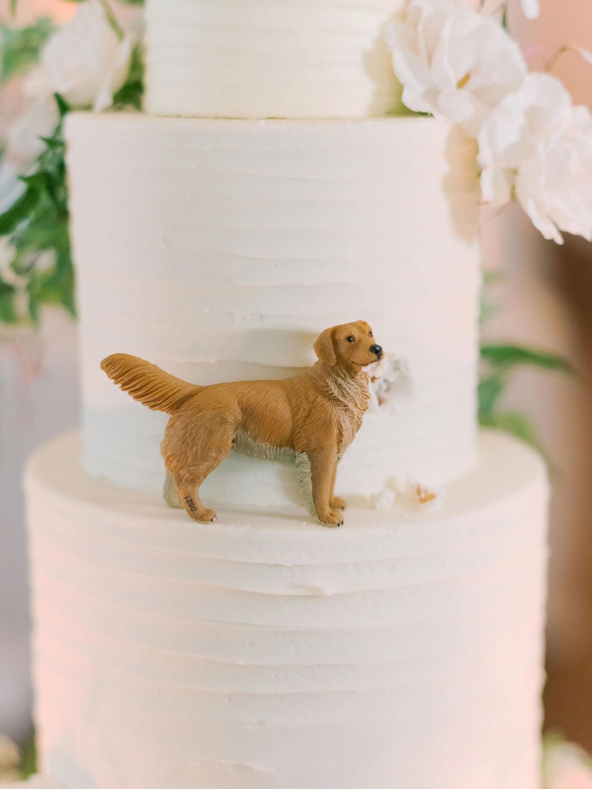AliandBrady_Matties_Austin_Winter_Wedding90.jpg