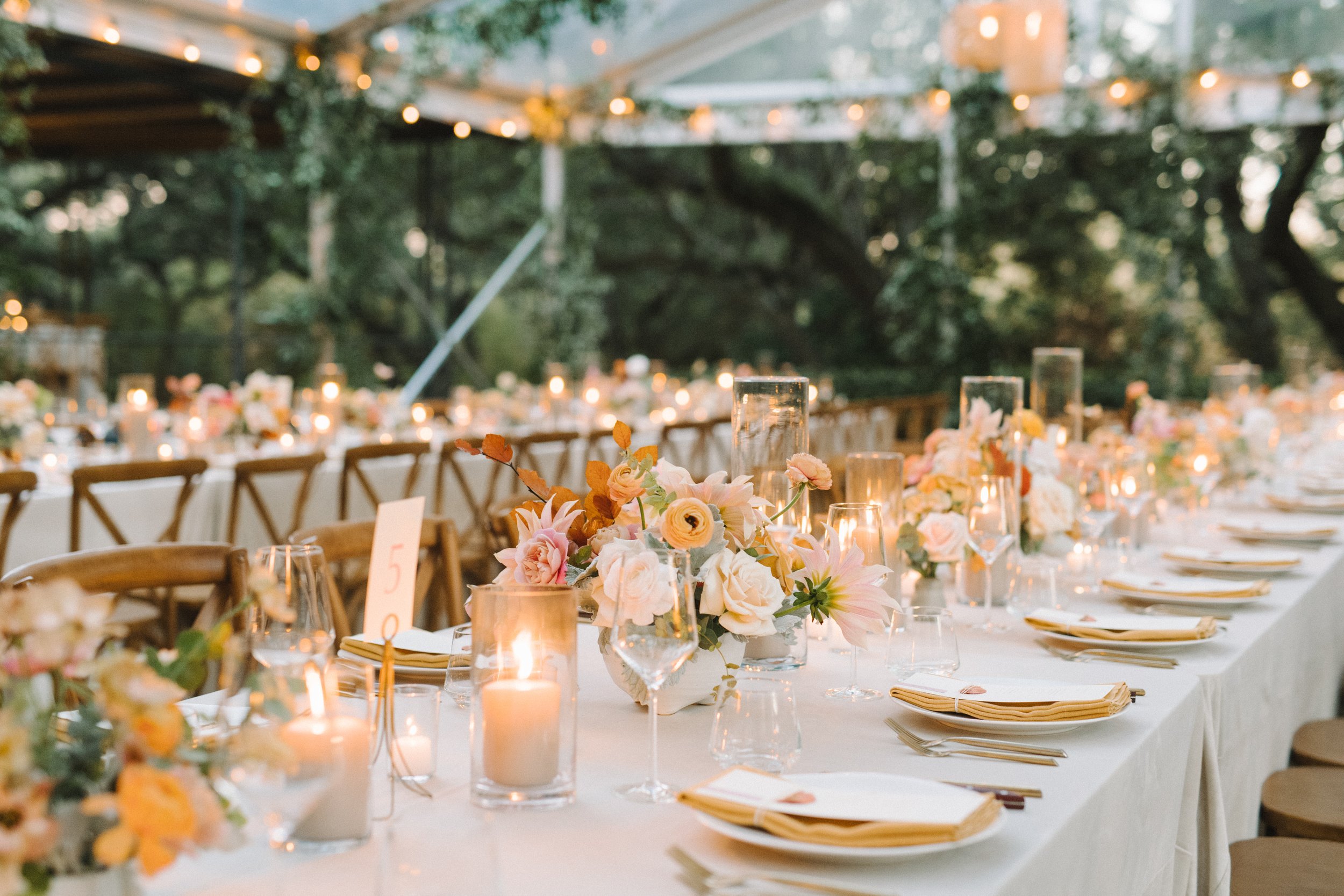 ElizabethandLucas_Matties_Austin_Fall_Wedding36.jpg