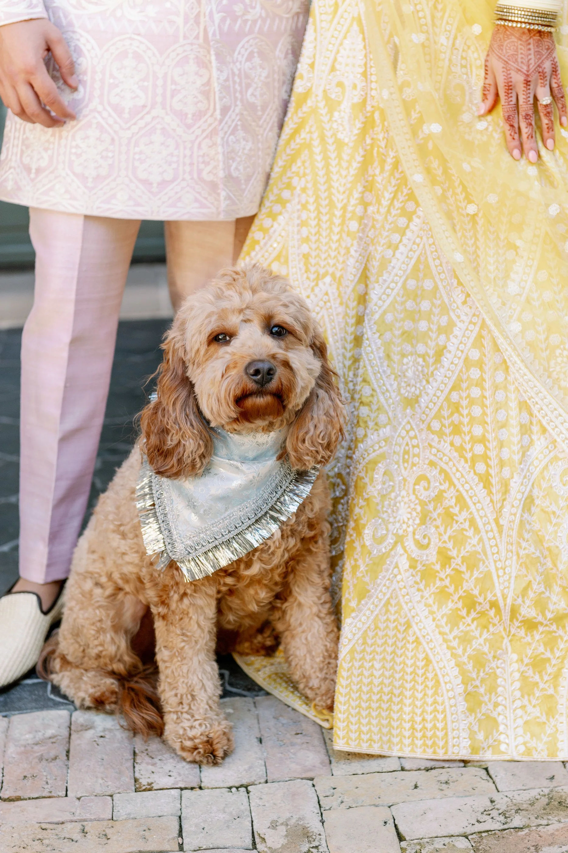 MeredithandEshaanCommodorePerry_IndianFusion_Wedding_Texas78.jpg