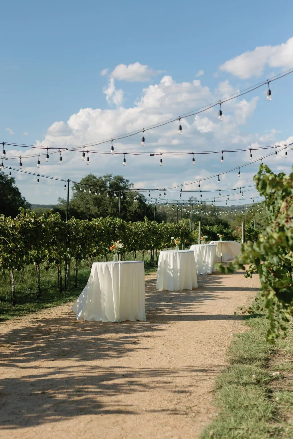 SarahandKevinAustin_Texas_Ranch_Wedding_Spring12.jpg
