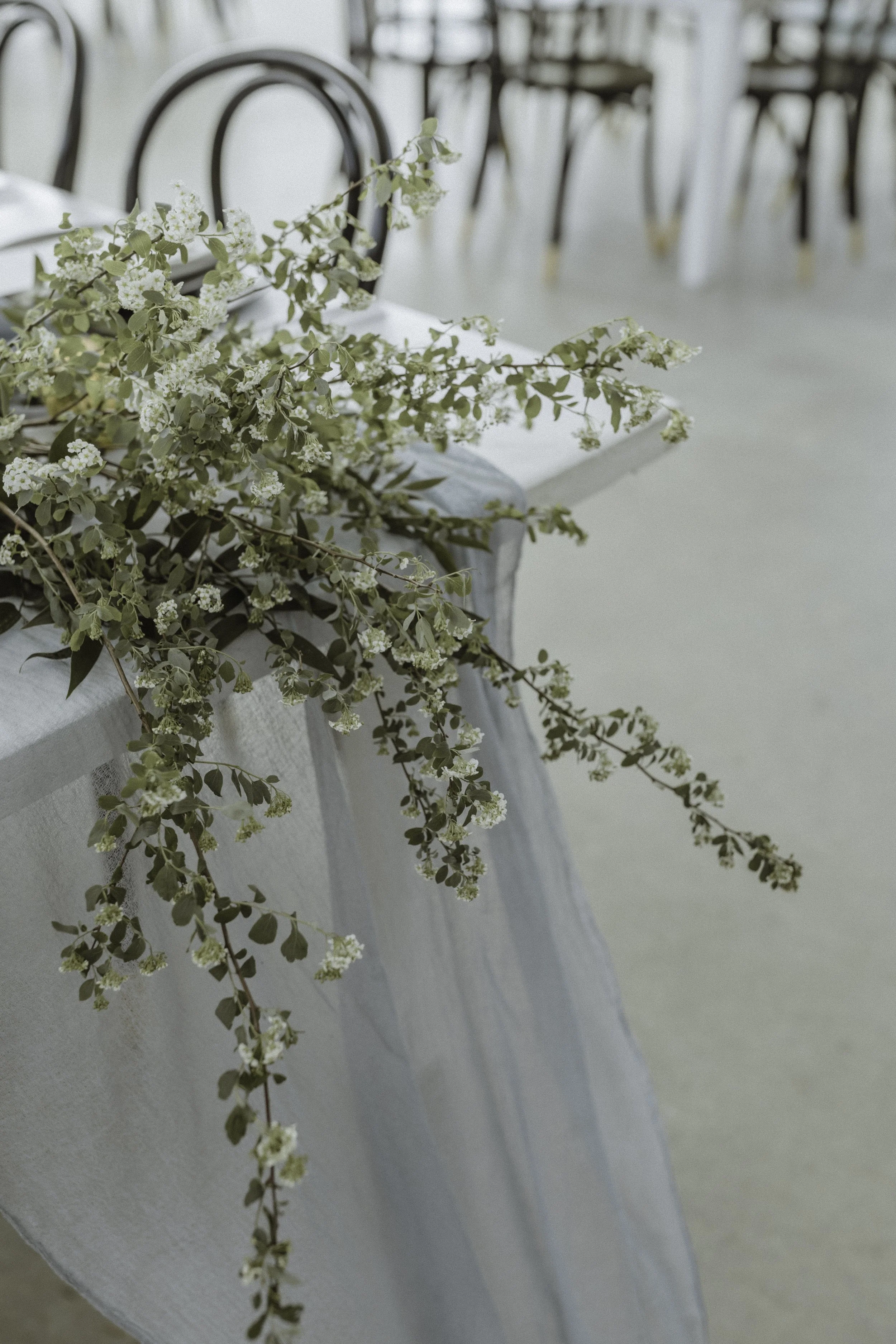 Austin Destination Wedding
