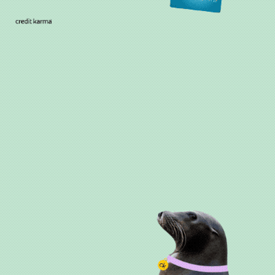 image1.gif