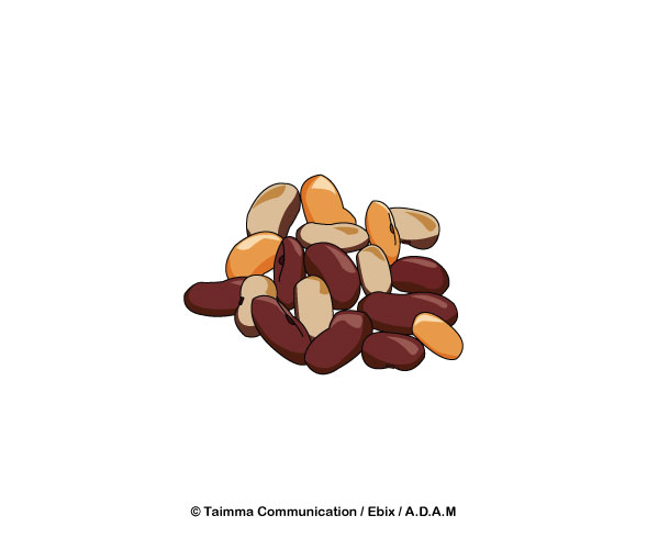 Beans.jpg