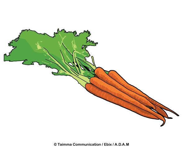 Carrots.jpg