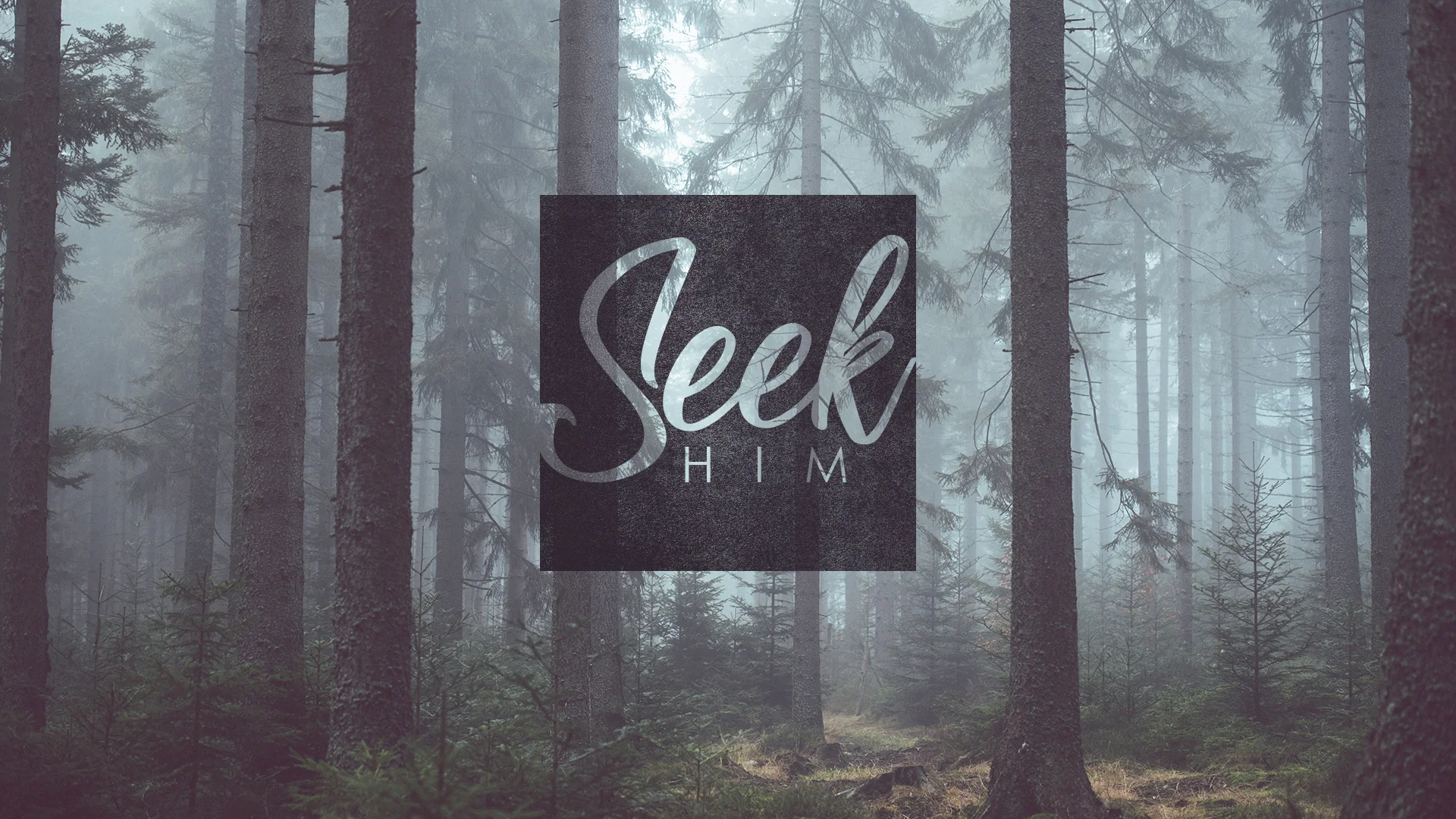 Seek Him In Solitude