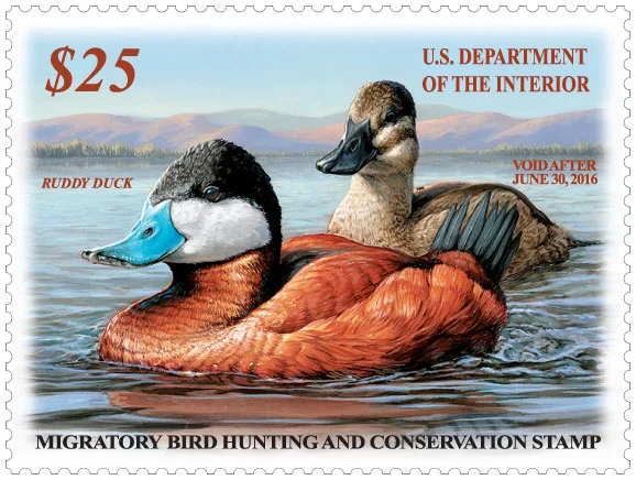 2015-2016 Federal Duck Stamp.jpg
