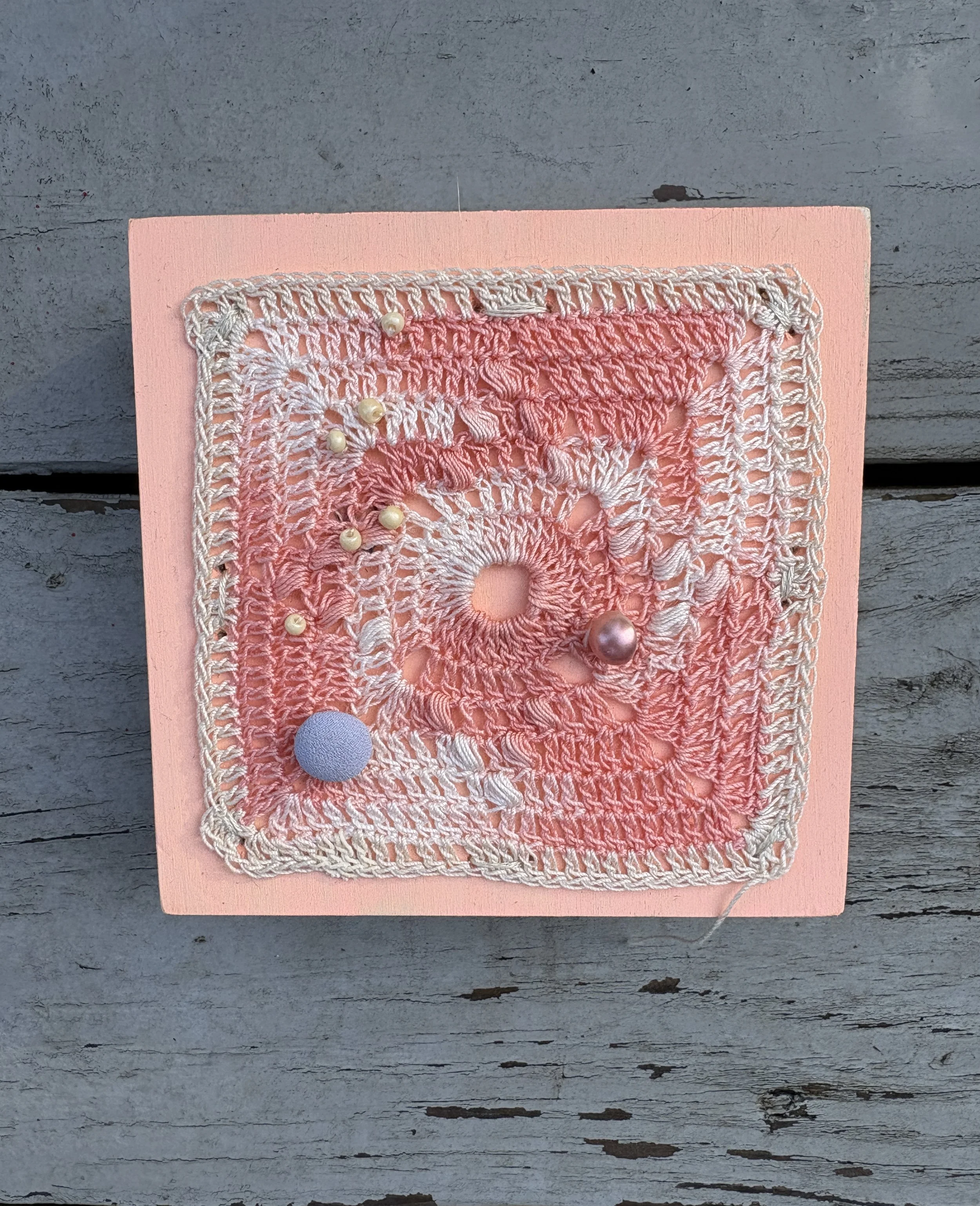 Mini Square, Dianthus Multi