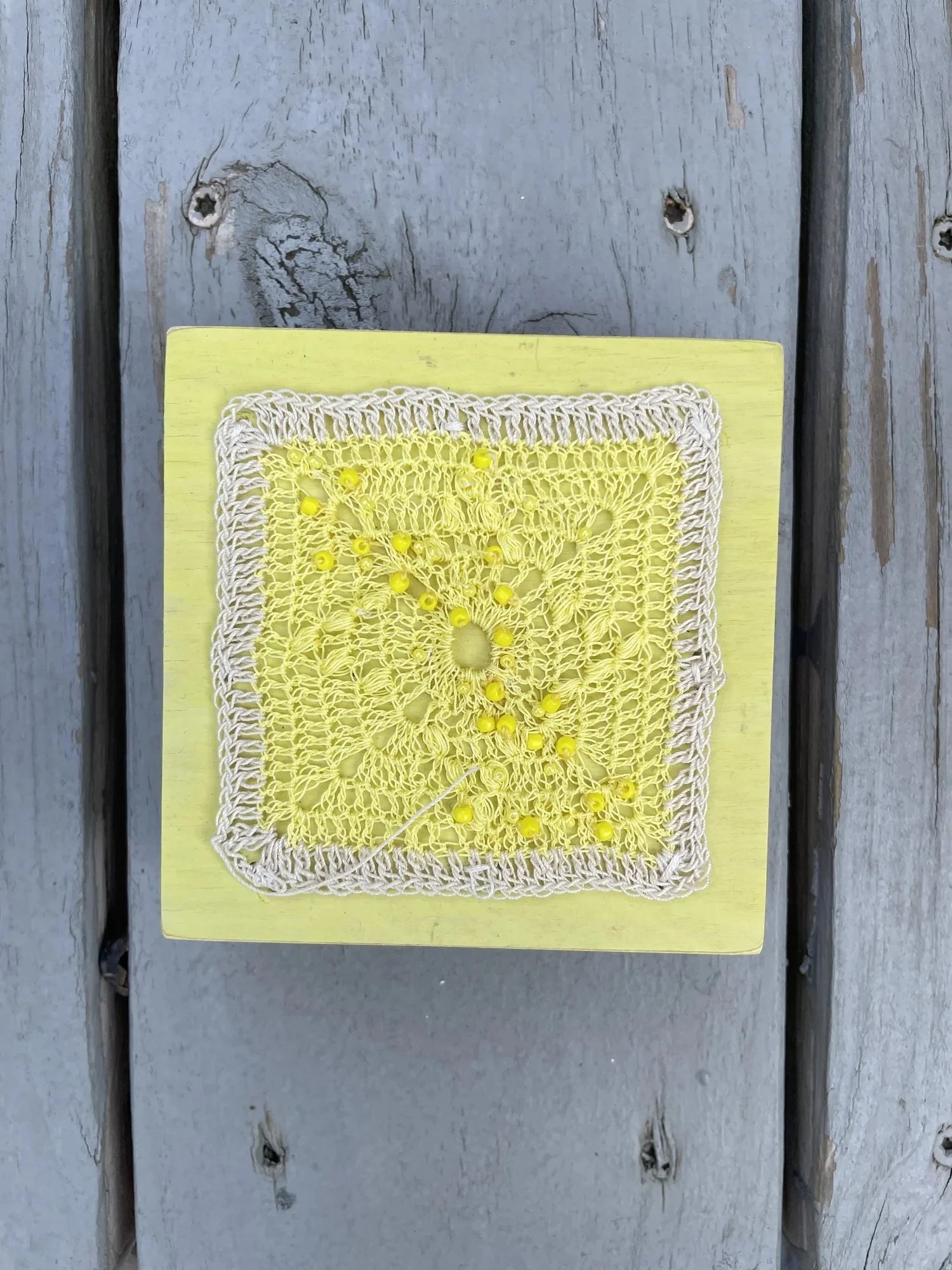 Mini Square, Daffodil