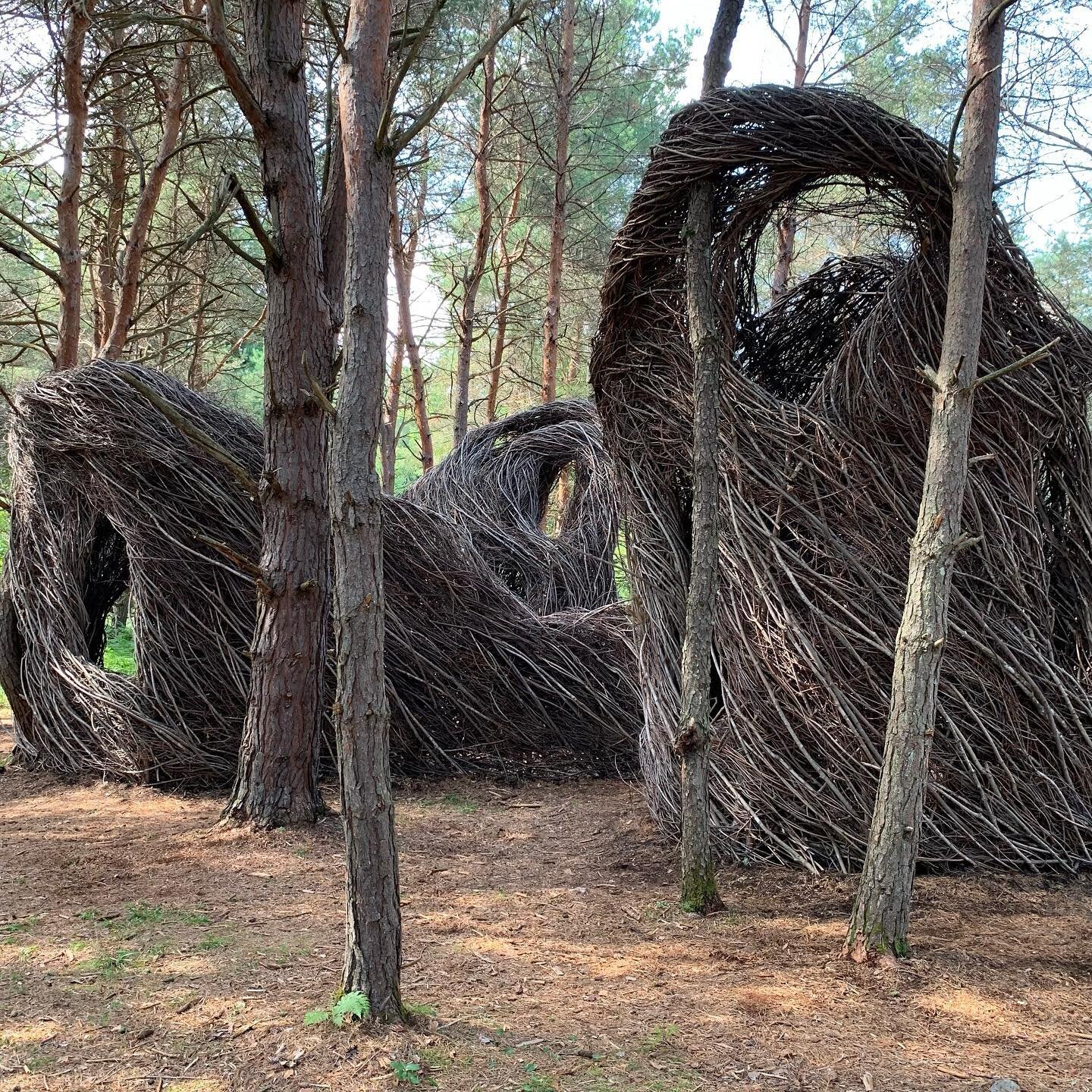 Patrick Dougherty installation at the Wild Center, Tupper Lake, NY
.
.
.
.
.
.
#thewildcenter
#patrickdoughertystickwork 
#patrickdougherty 
#natureinstallation