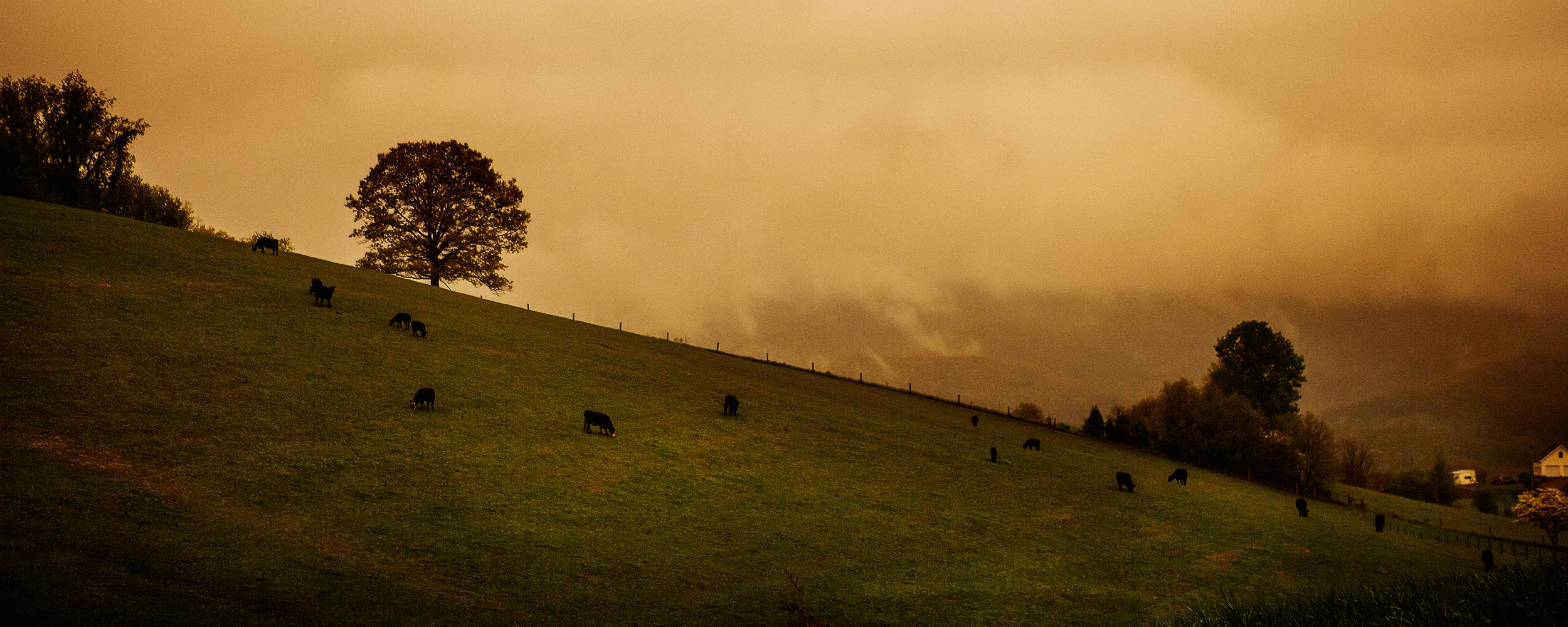 Cows_on_Hill_Diagram.jpg