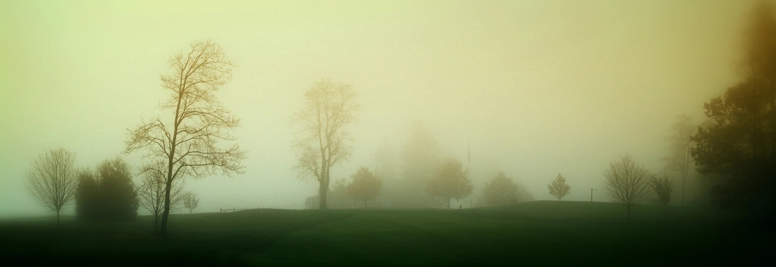DSCF1678v1.jpg