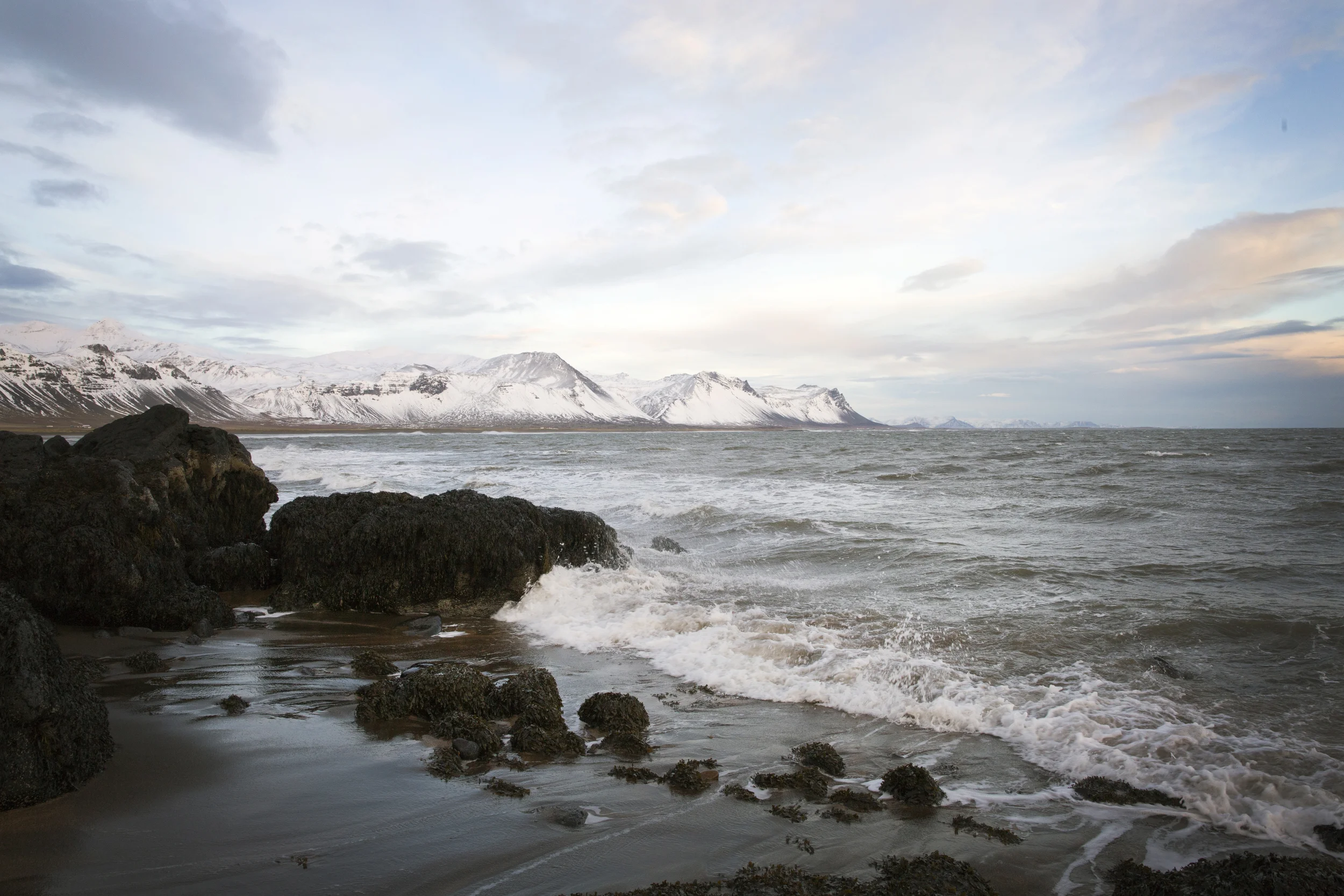 Shore in Iceland