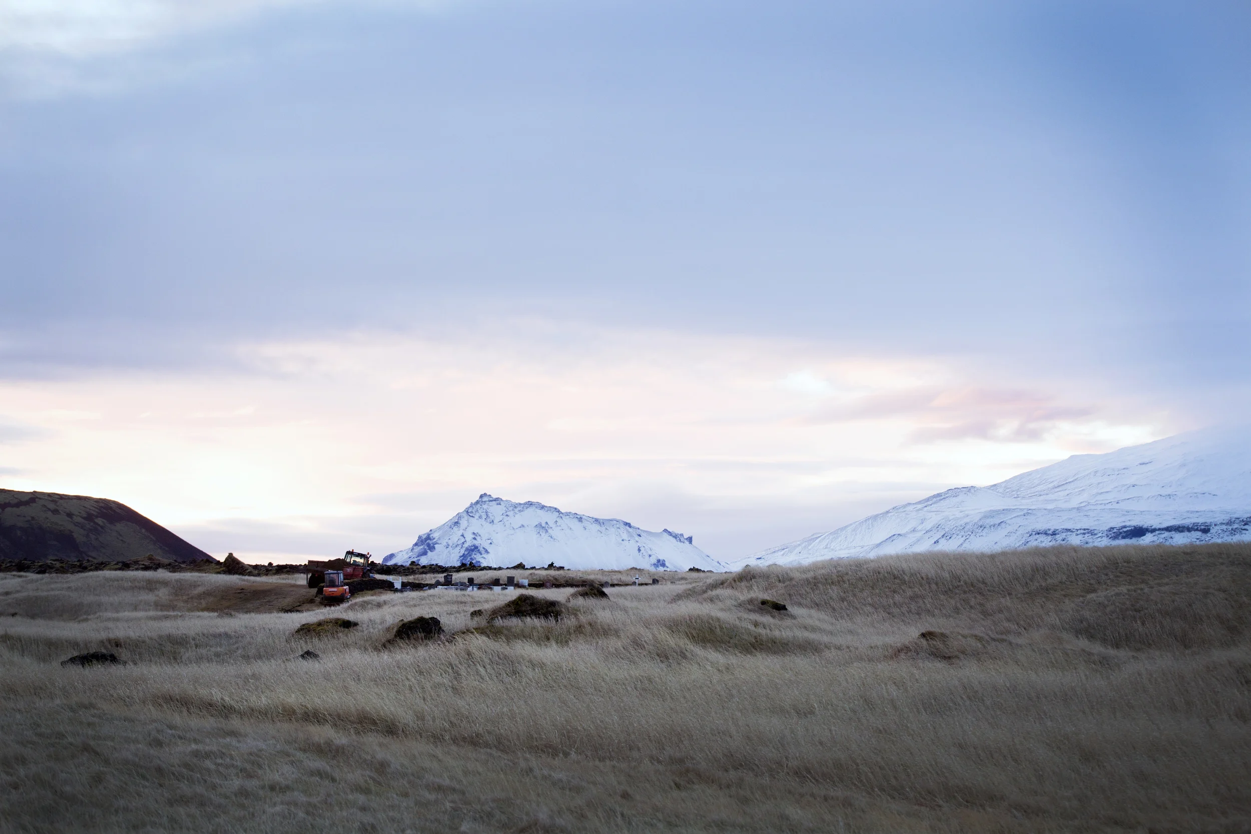 Farm in Iceland