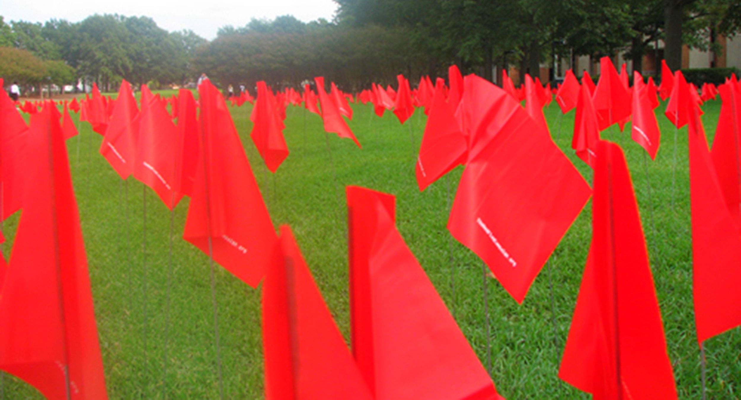red+flags+on+lawn+enlarged.jpg?format=25