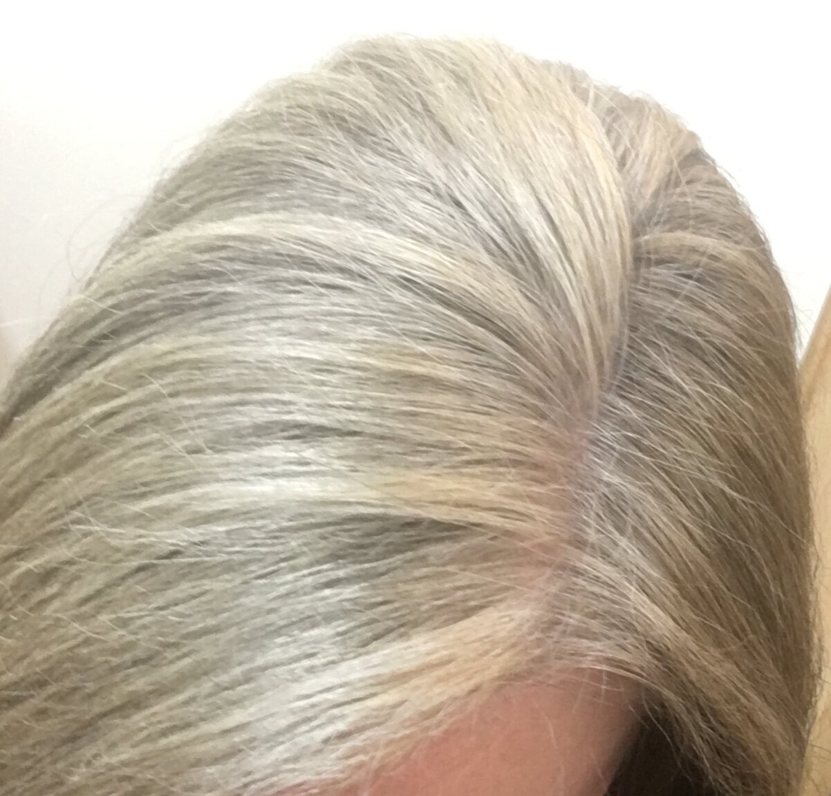 How I Transformed My Dark Brunette Hair To My Natural Gray — Feathered  Empty Nest The Guide To Enjoying Your Empty Nest