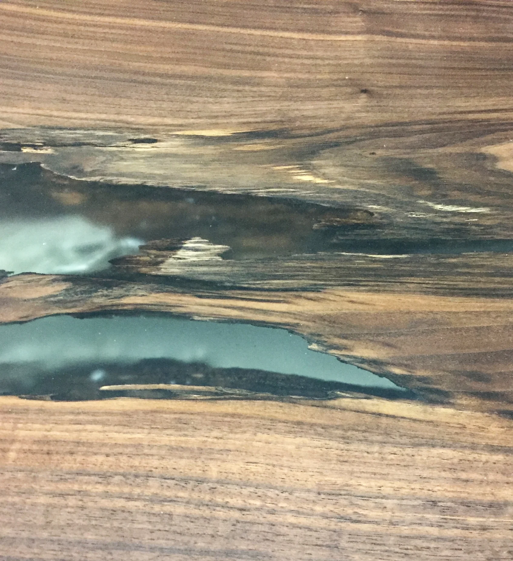 LIVE EDGE WALNUT COFFEE TABLE